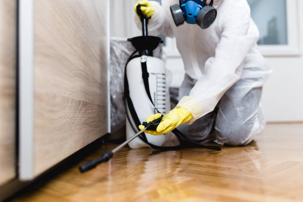 Professional Pest Control in Forest City, IA