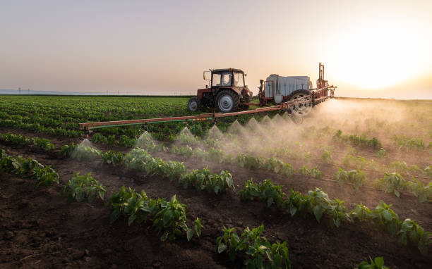 Best Best Pest Control Companies  in Forest City, IA
